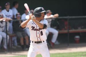 Montrose baseball, boys lacrosse combine for four SWL First-Team All-Conference selections