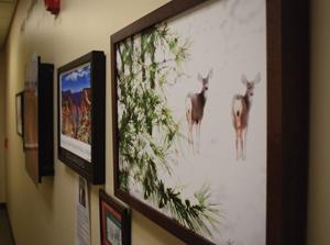 The 2nd Annual Chipeta Art Show begins this Saturday at the Ute Indian Museum