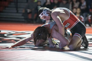 WRESTLING: Nine Red Hawks heading to state