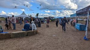 'Another fall and another set of beer festivals': Three beer (and more) events return starting Saturday