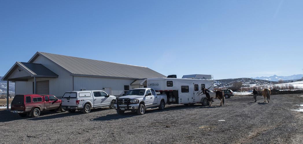 Excitement out on T Road Nicki Seehafer, DVM hangs her shingle Local