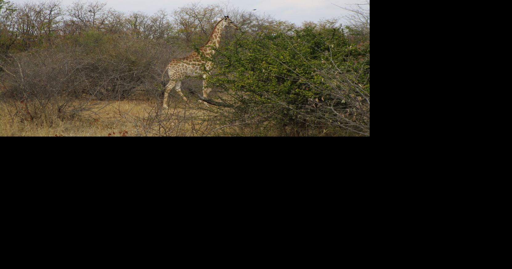 OUTDOORS: Adventures in Africa