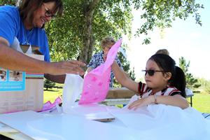 Make-a-Wish is looking for wish-granting volunteers in Montrose