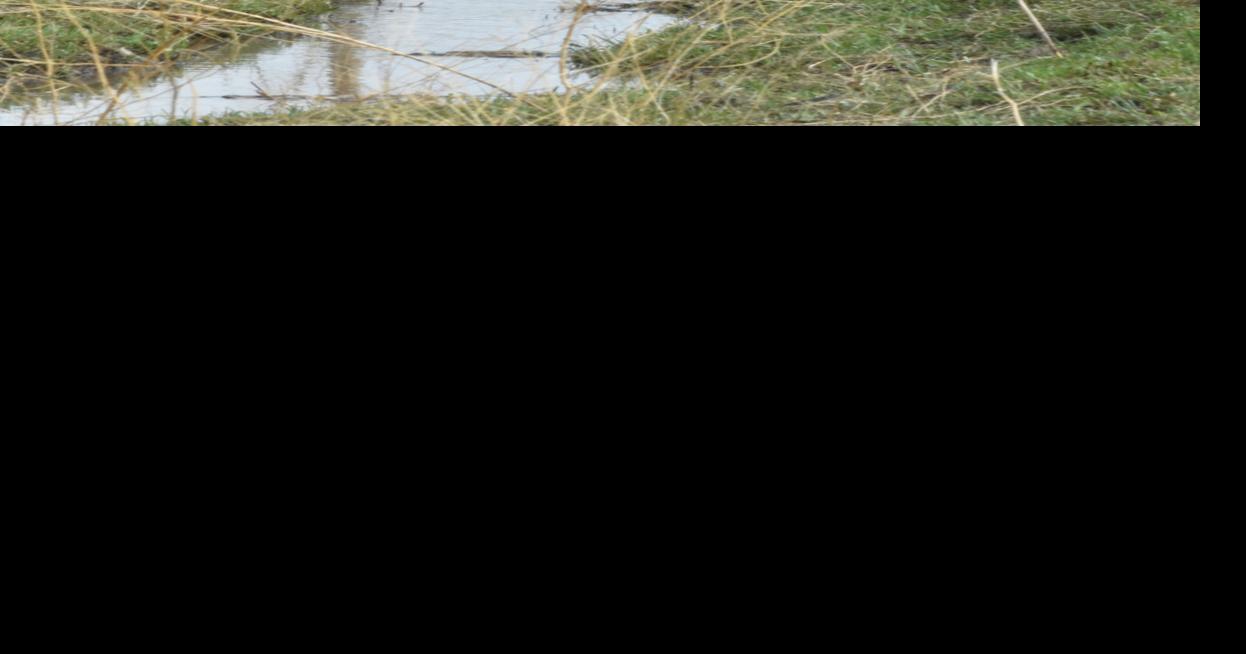 Catlin, Coram sponsor bill to protect rancher water Local News