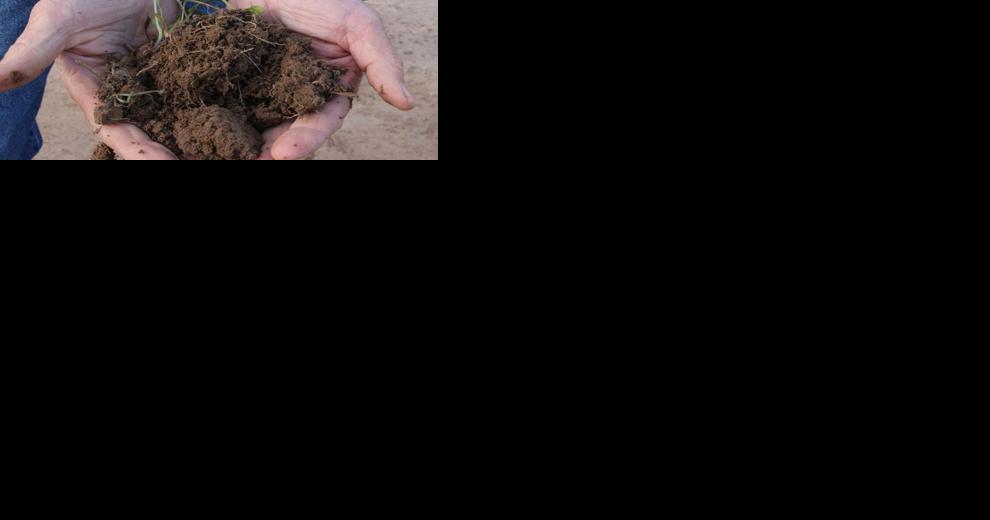 How it grows: Western Colorado Soil Health, Food & Farm Forum drives home sustainability - Vimarsana News