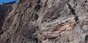 Trails of the West Slope: Fossil Discovery Trail, which is actually in Utah