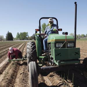 Honey Acre Farms welcomes asparagus to Montrose