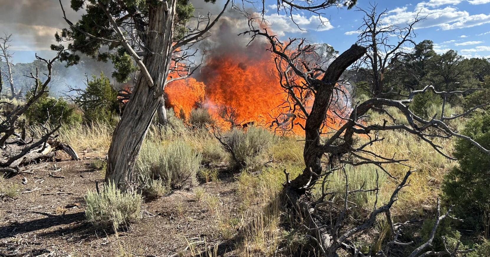 Little Mesa Fire prompts road closures - Vimarsana News