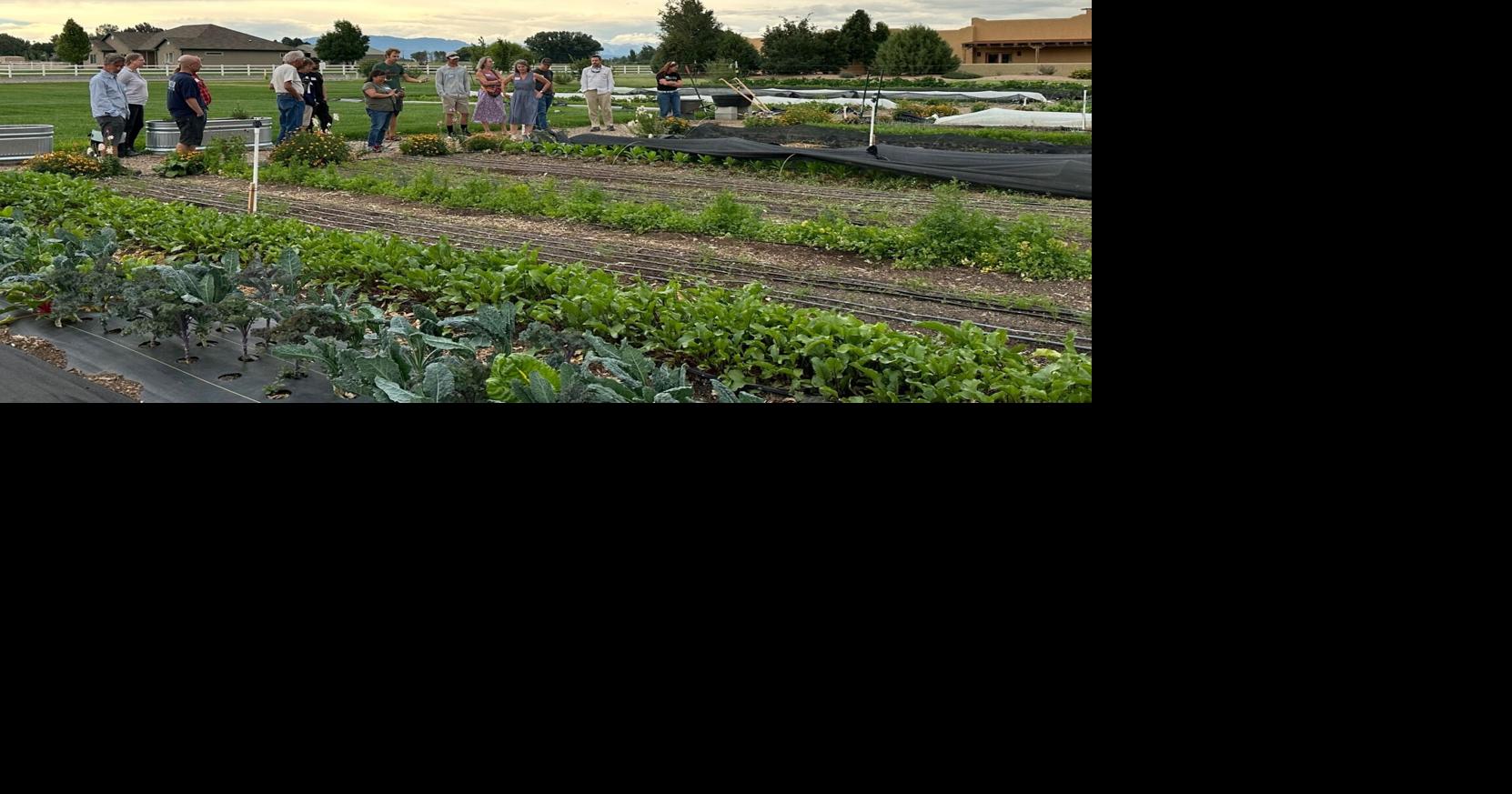 From the farm to the fairground: Valley Food Partnership farm tour, summit highlight local producers