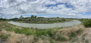 Watershed Warriors: Meet the local groups working to protect the Uncompahgre River