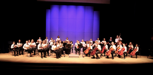 Celebrating with songs: Valley Youth Orchestra prepares for 25th anniversary concert