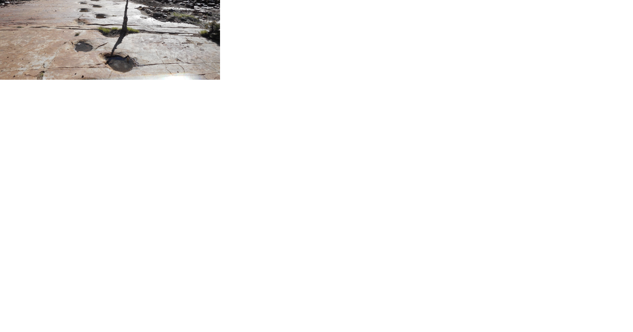 Stepping back in time — Ouray trackway represents rare Jurassic find - Vimarsana News