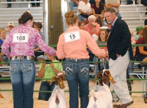 Take me to the fair: Sights from the fairgrounds this week