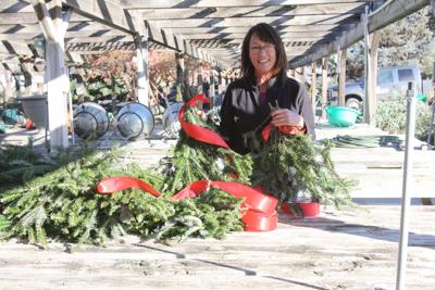 Greening Graves Of Veterans Local News Stories Montrosepress Com