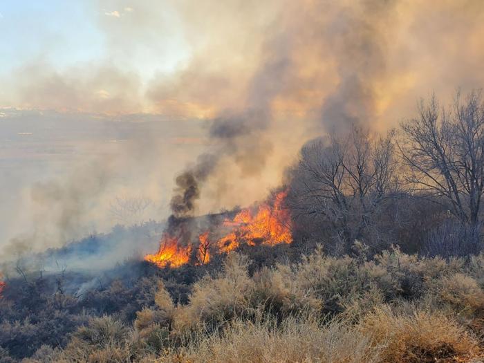 Crews tackle brush fire off Spring Creek Road