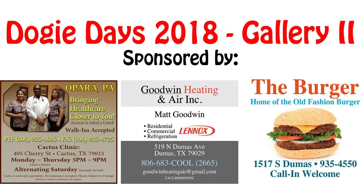 Dogie Days Gallery II Photo Galleries