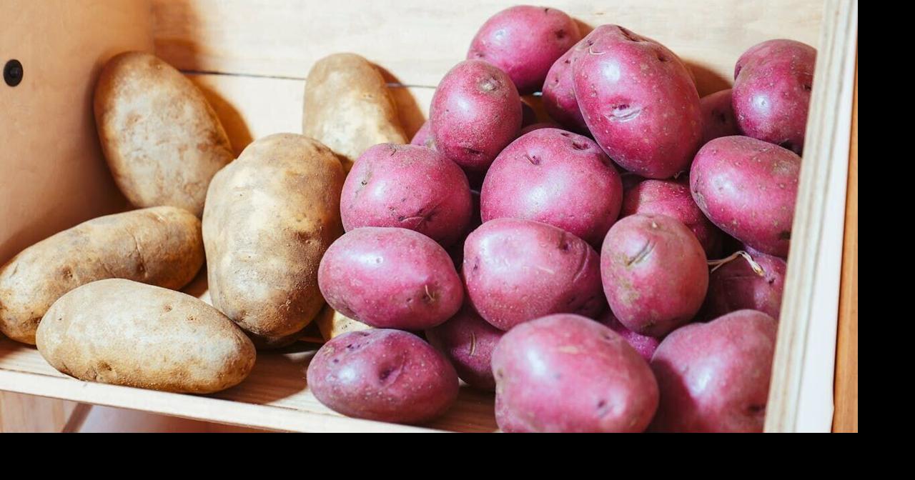 Potato crop waste to be turned into skincare and makeup | National