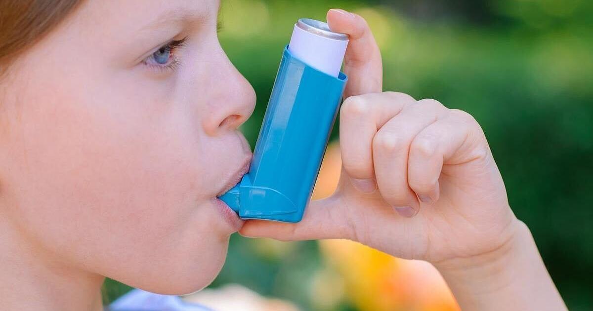 Cities Contribute To Asthma, Researchers Argue | Health