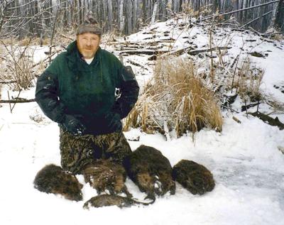 Trappers Probe Northern Woodlands For Fur Sports Moraminn Com