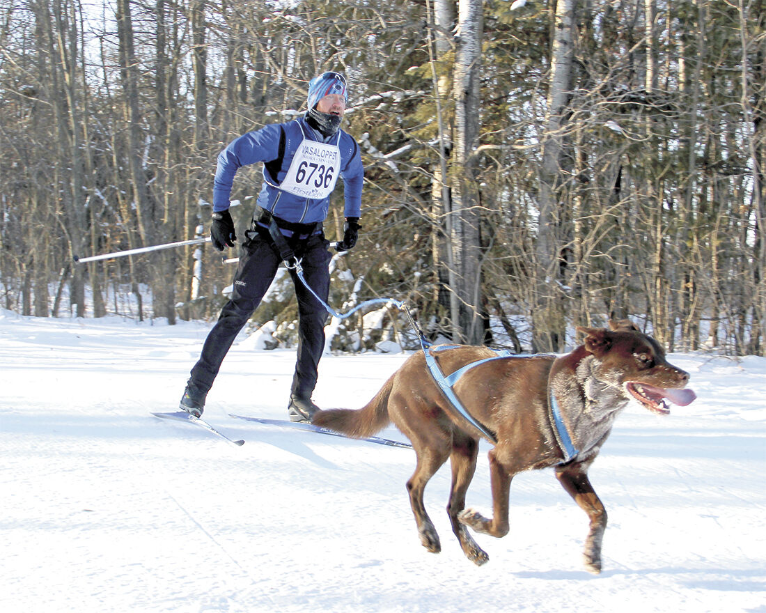 Trails open to all: skiers, cyclists - even dogs