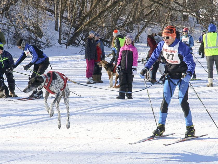 Vasaloppet USA Events - Sunday, Feb. 11, 2018 | | moraminn.com