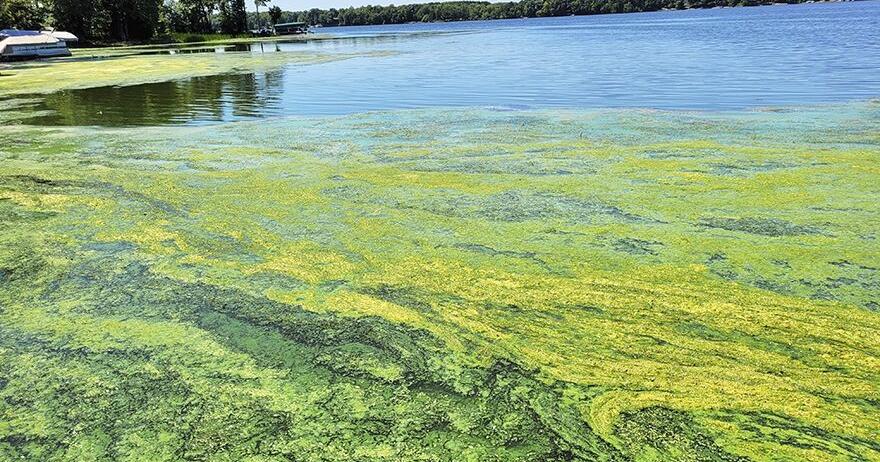 Knife Lake property owners raise concerns regarding condition of water