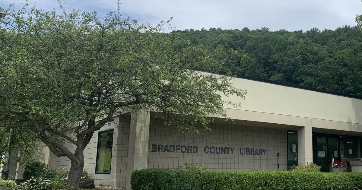 Bradford County Library releasing 400 native, non-stinging bees ...