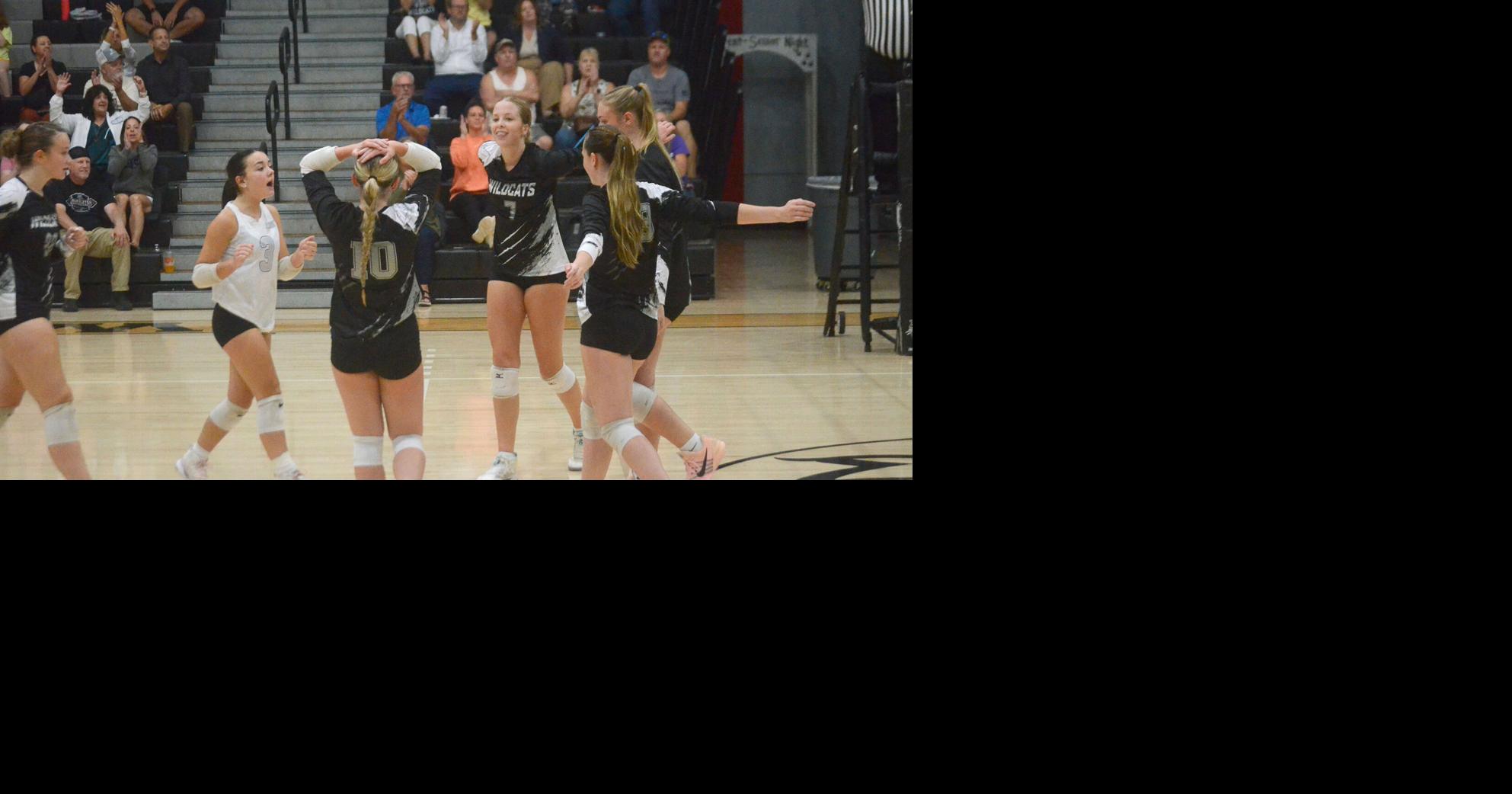 Volleyball: Athens survives Towanda comeback with five-set victory