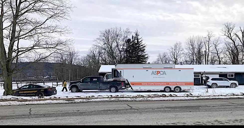 Animal rescue underway in Owego News