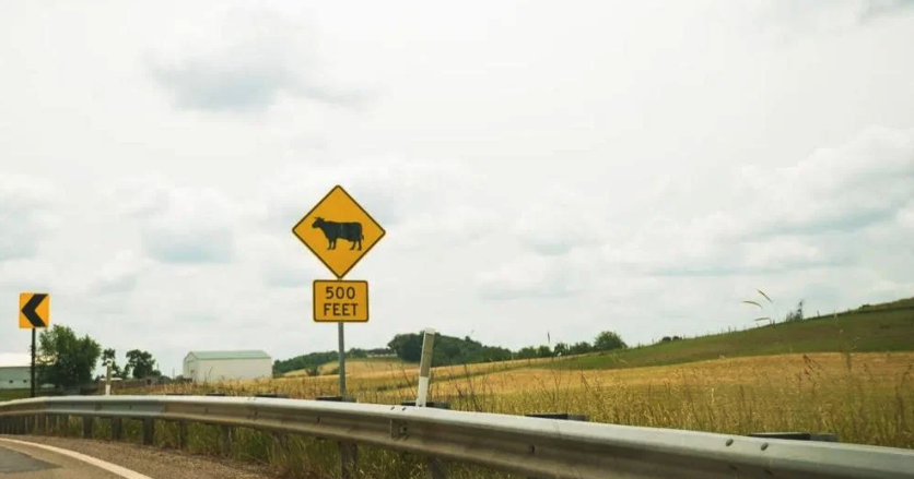 Farmland prime for data centers, but at what cost? By Lauren Jessop The Center Square contributor May 22, 2026 7 mins ago