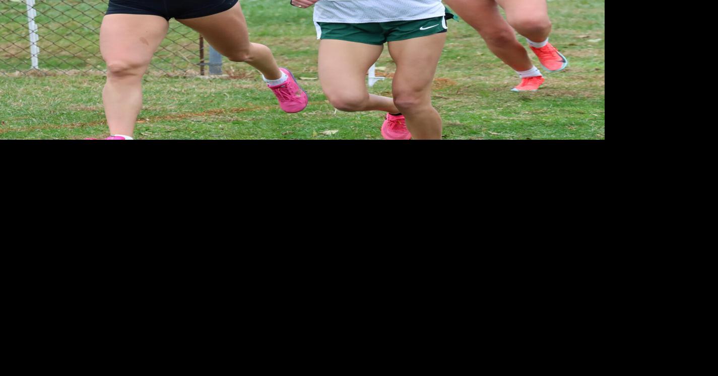 Fall Sports Preview: State-qualifying Vough highlights Athens XC, while Wanck looks to make a return