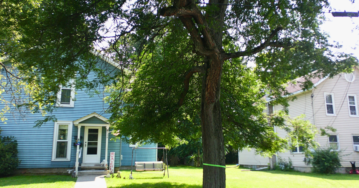 Tree trimming crews begin work in Waverly