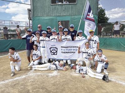 Athens Little League, Valley get rave reviews after state tournament