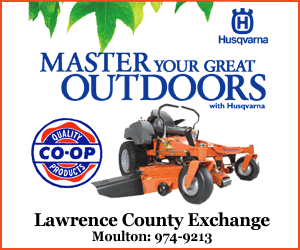 advertisement