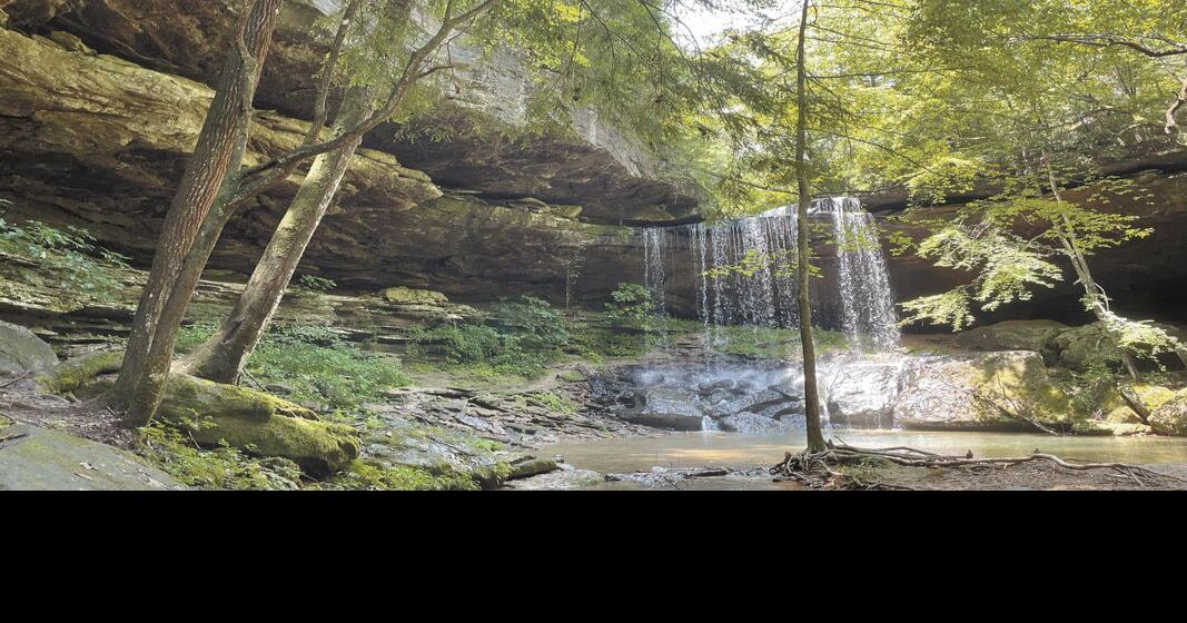 Step outdoors with Wild Alabama News