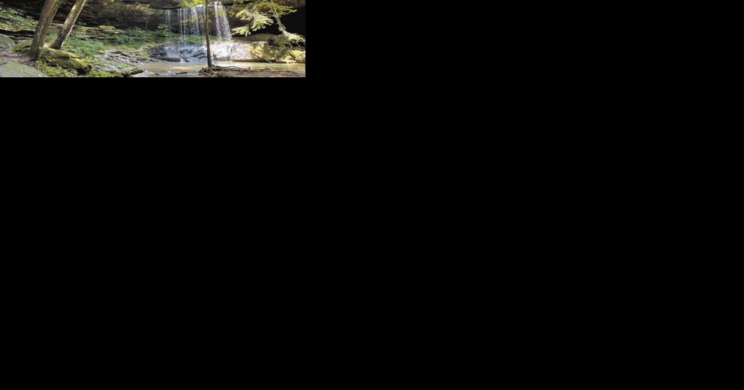 Step outdoors with Wild Alabama - Vimarsana News