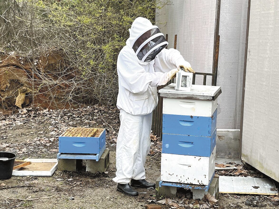 Beekeeping  N.C. Cooperative Extension