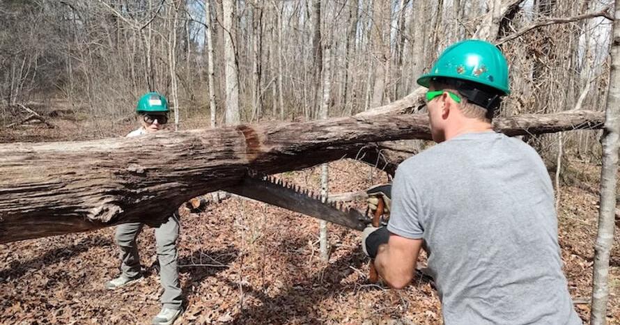 Wild Alabama to offer trail workdays