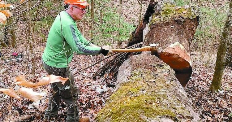 Wild Alabama to offer Geology Fun Interpretive Hike