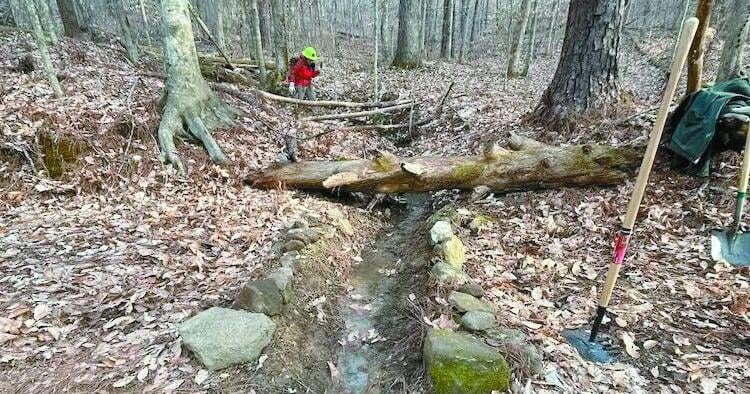 Wild Alabama to offer trail workdays