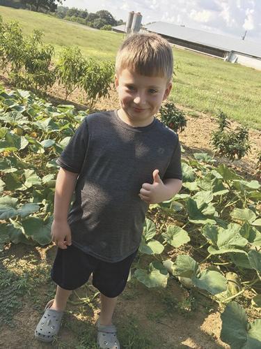East Lawrence student anticipates successful crop from Butternut Squash ...