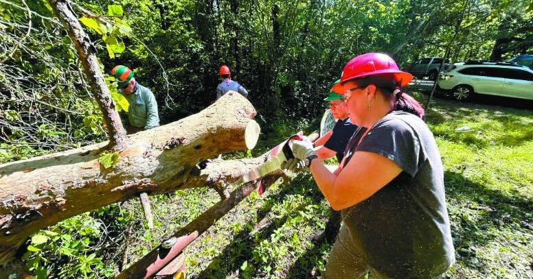 Wild Alabama to host geology hike