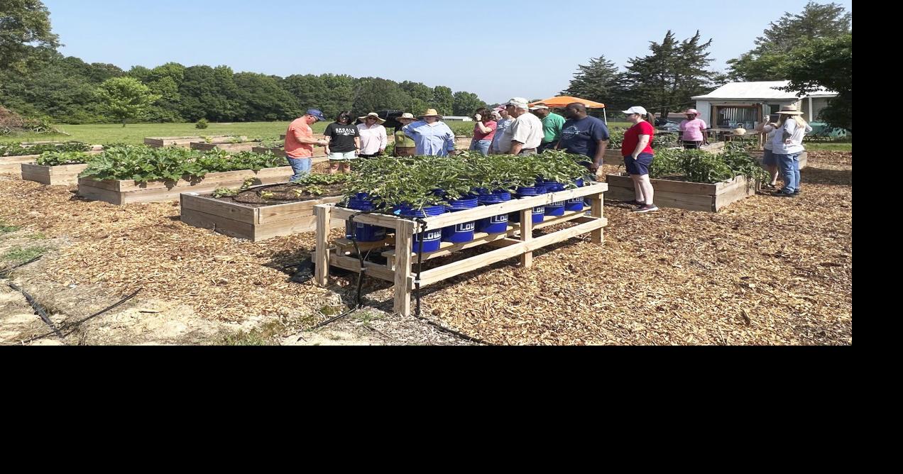 STEM in the Garden July 31 - workshop for teachers and adult volunteers