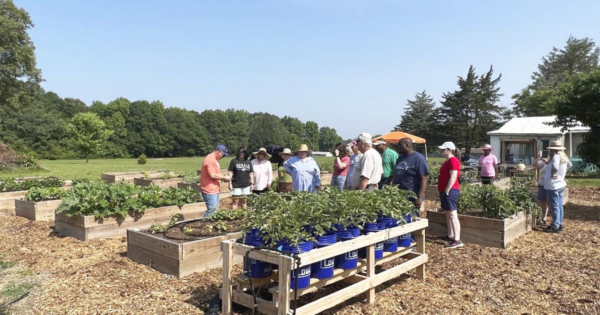 STEM in the Garden July 31 - workshop for teachers and adult volunteers