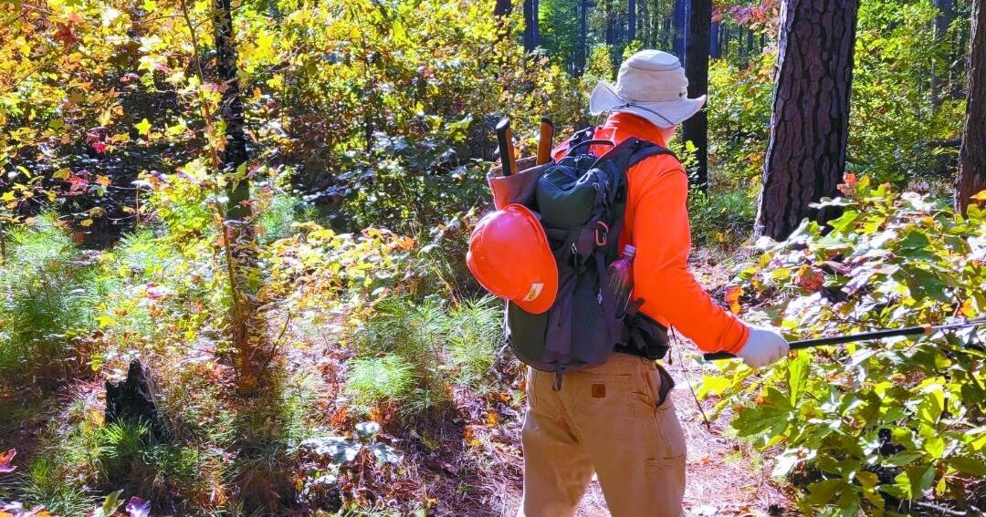 Wild Alabama offers reptile and geology hikes