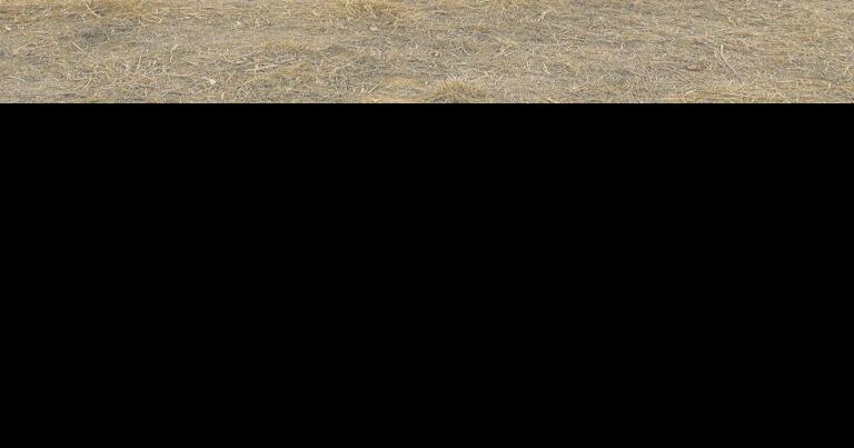 Taylor to bring affordable housing in North Courtland