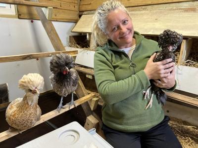 Mt. Hope chickens are pets with benefits