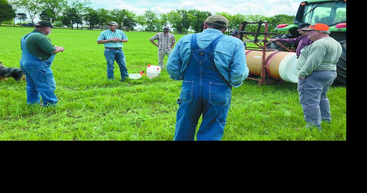 Weed and Pasture Management Workshop February 20 at Daily Farms