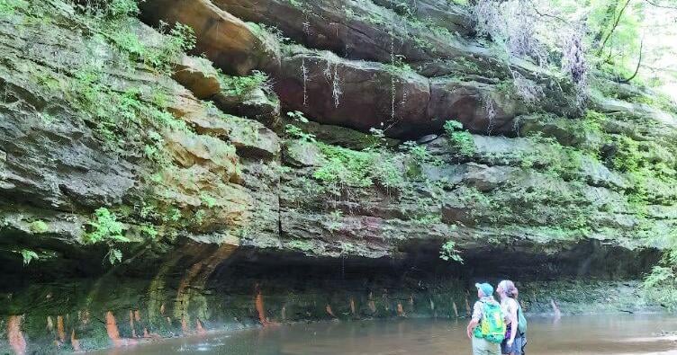 Wild Alabama  offers evening, and geology hikes this weekend