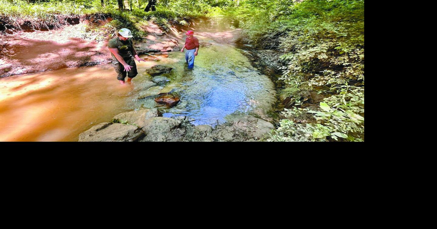 Wild Alabama offers volunteer ranger patrols, forest bathing | News ...